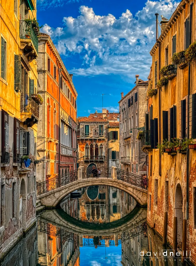 Venice Art Bridge